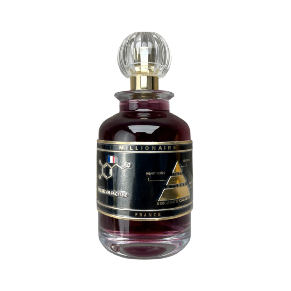GEVILL FRANCE MILLIONAIRE